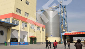 Biomass Pellet Mill,Pellet Machine - KMEC